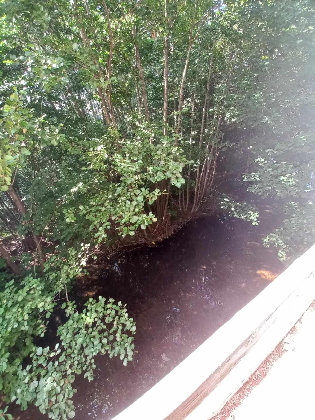 Gite De L'Ours Saint-Maurice-sur-Moselle Eksteriør bilde