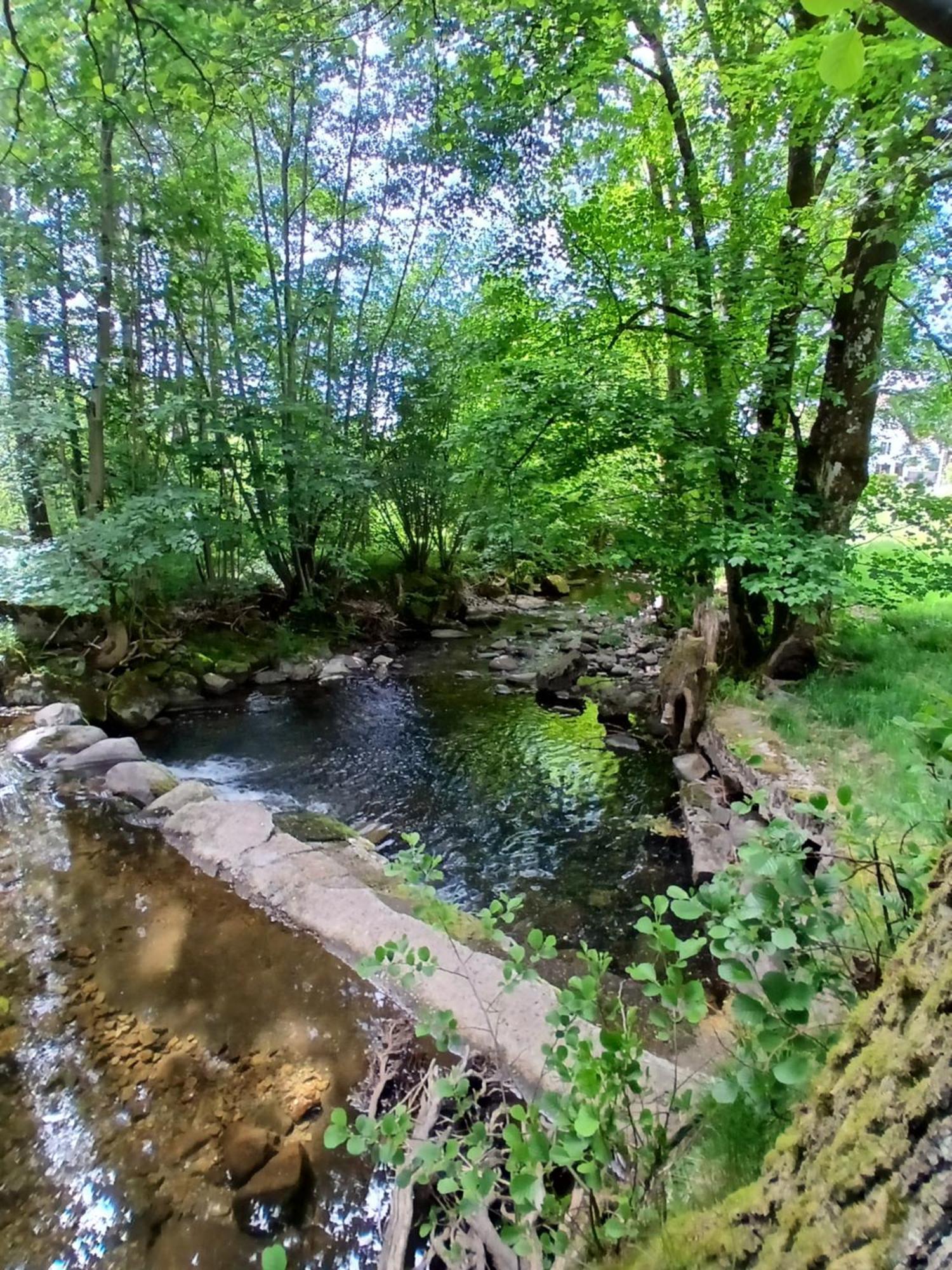 Gite De L'Ours Saint-Maurice-sur-Moselle Eksteriør bilde